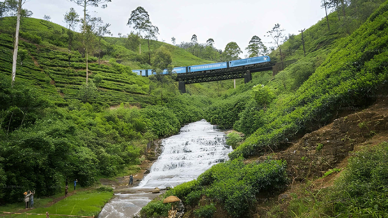Ella to Kandy: A Scenic Journey by Train and Car or Van
