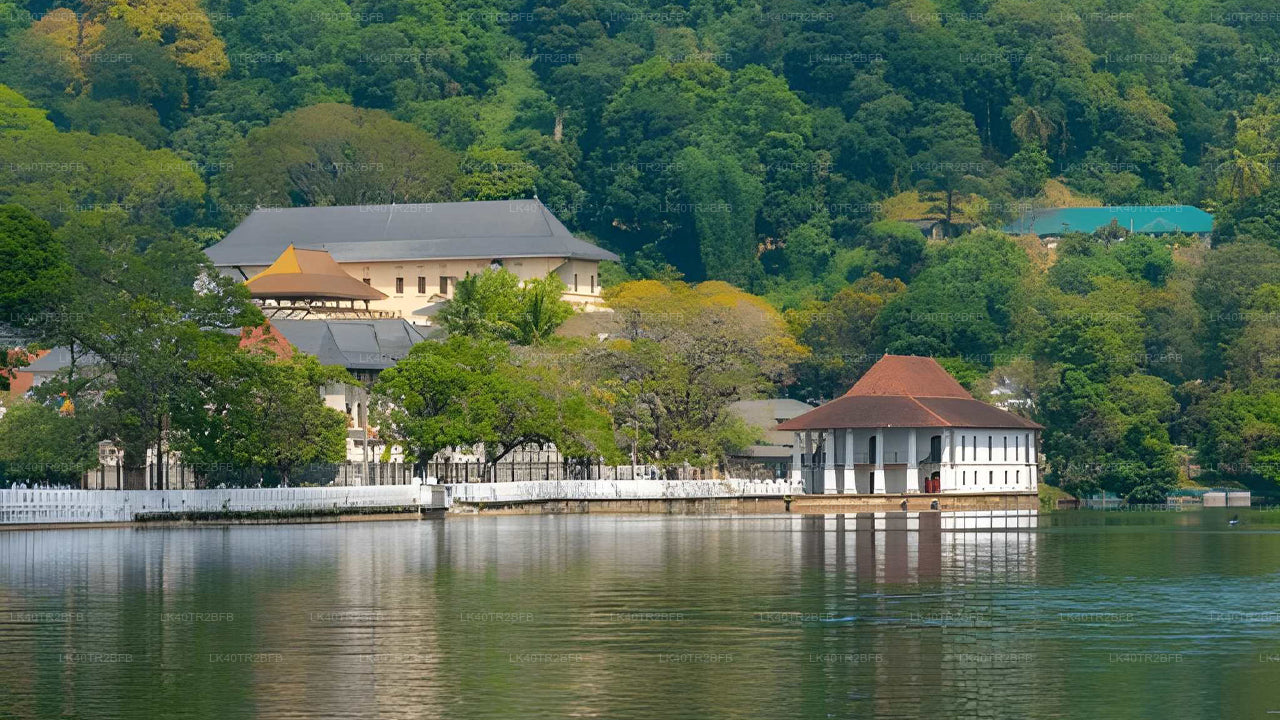 Scenic Private Transfer from Nuwara Eliya to Kandy with Sightseeing