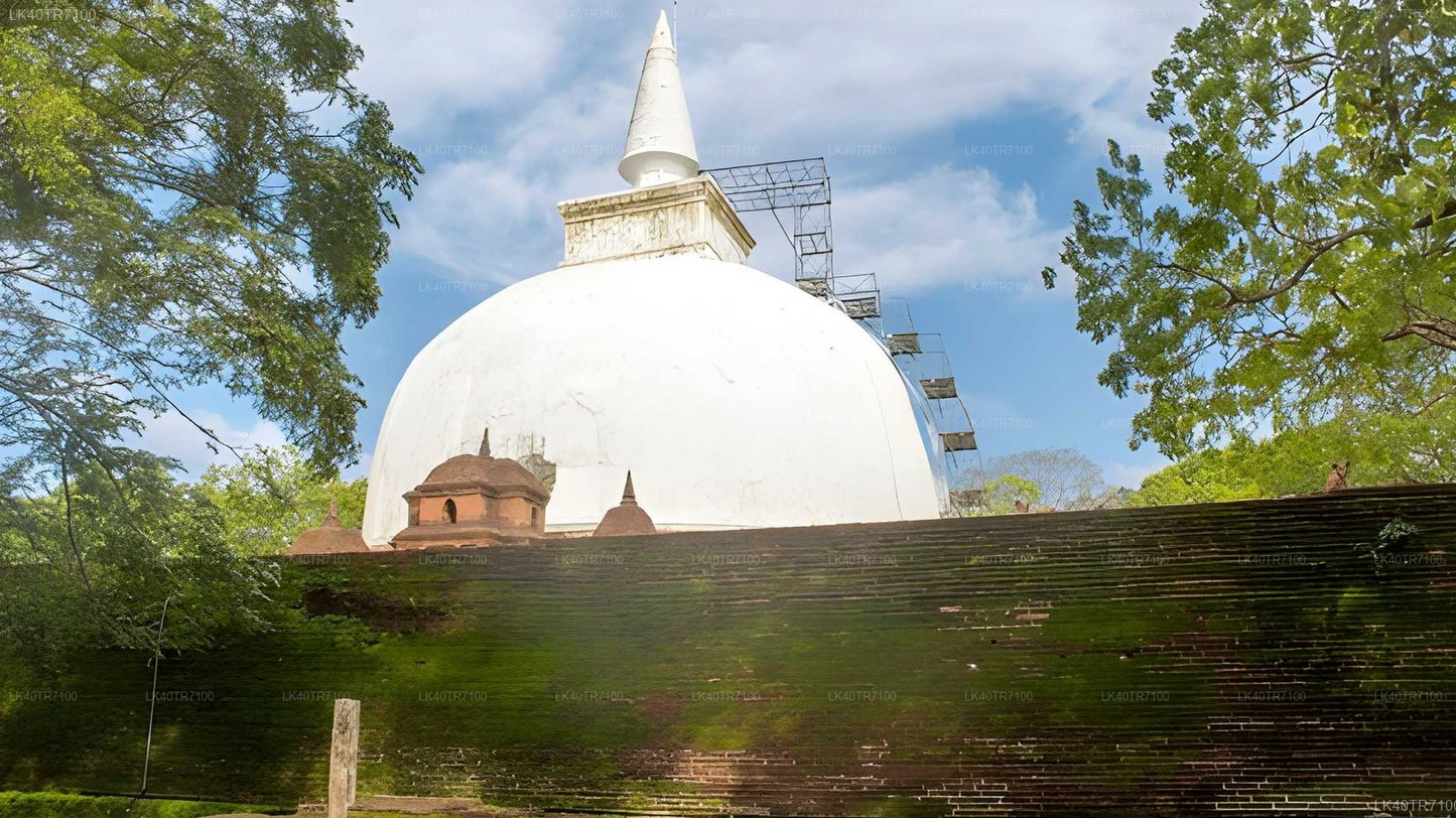 Polonnaruwa and Wasgamuwa Wildlife Safari from Pasikuda