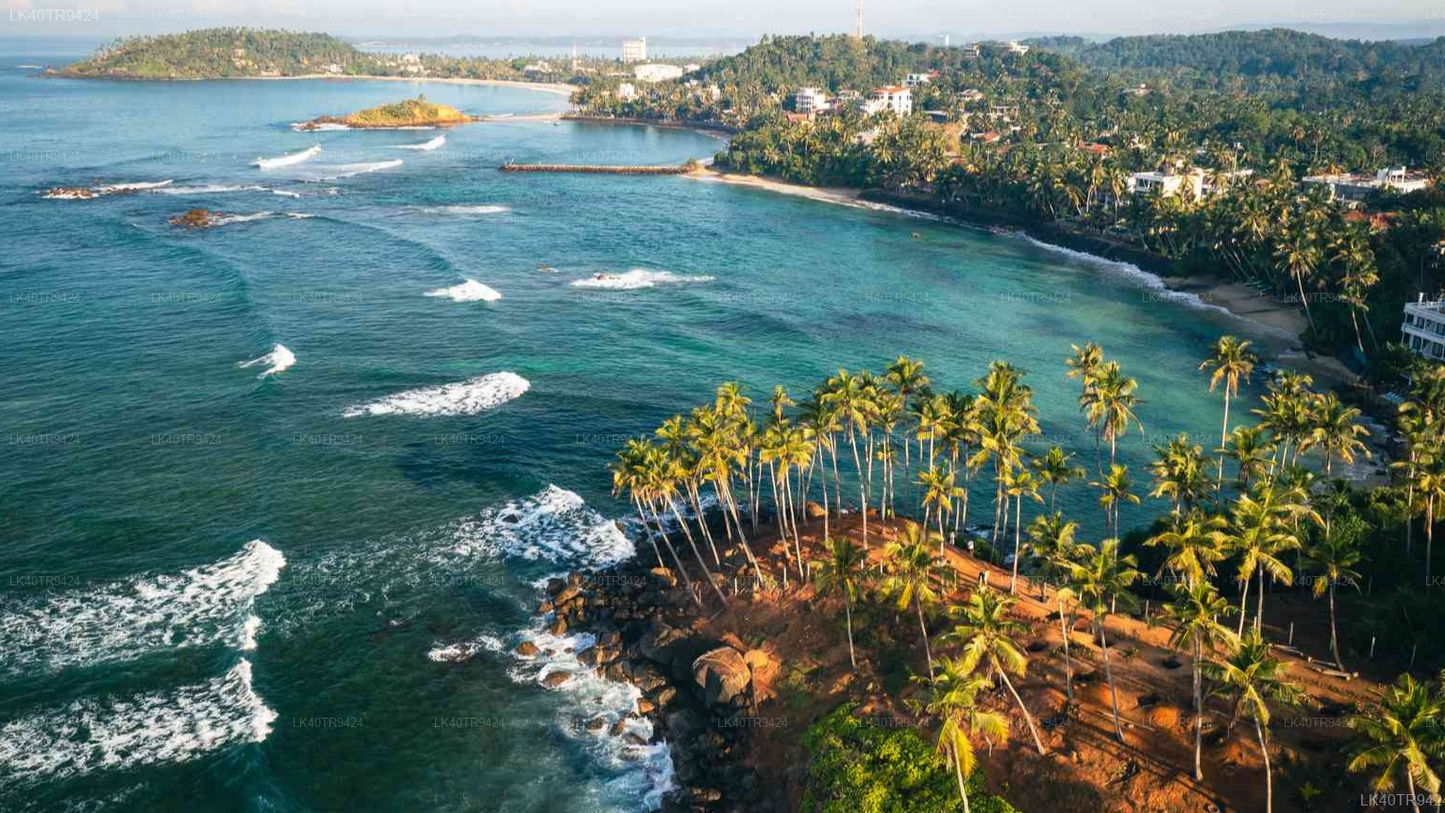 Coastal Transfer from Colombo to Mirissa with Sightseeing Stops