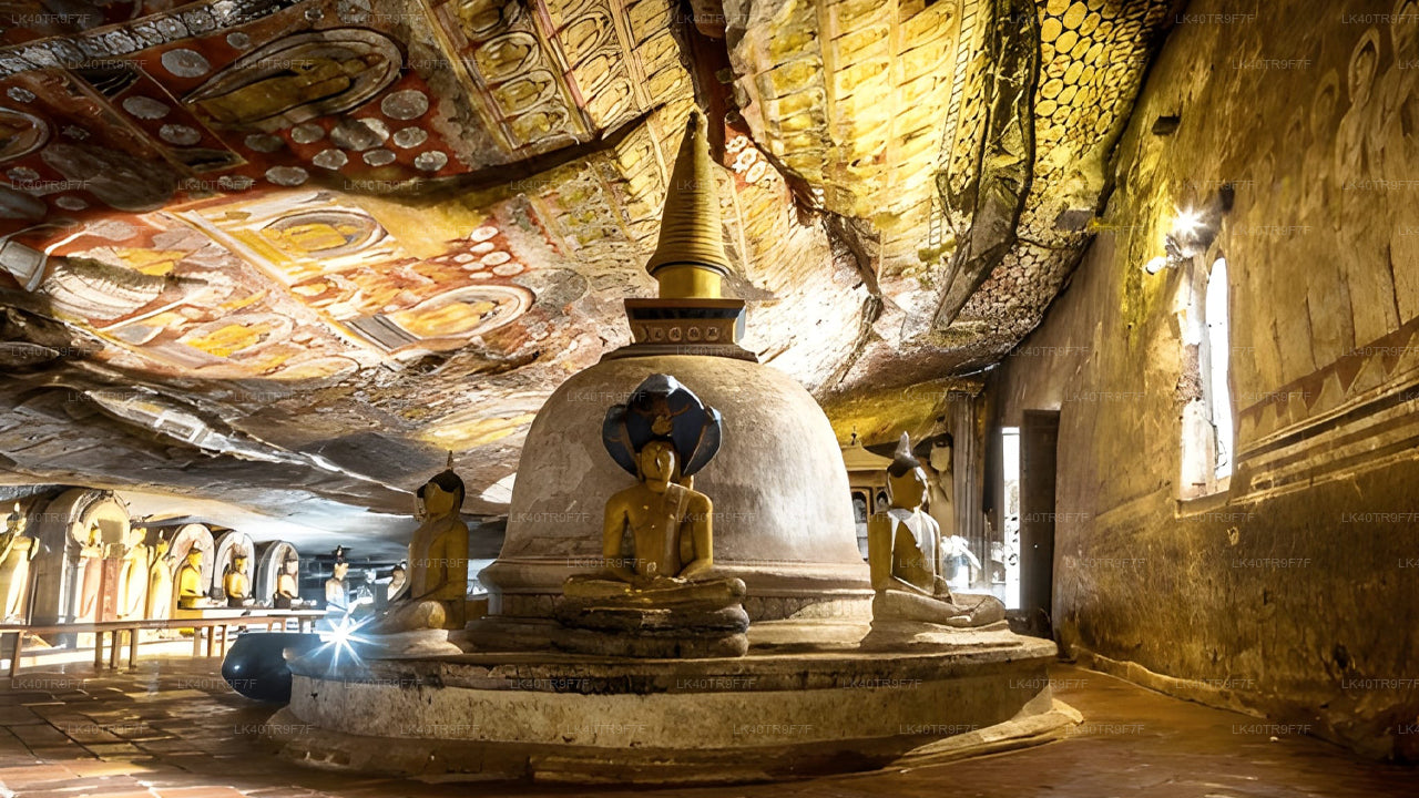 කොළඹ සිට සීගිරිය දක්වා පෞද්ගලික මාරුව සමග දර්ශන නැරඹීමේ නැවතුම් පහසුකම් සහිතව