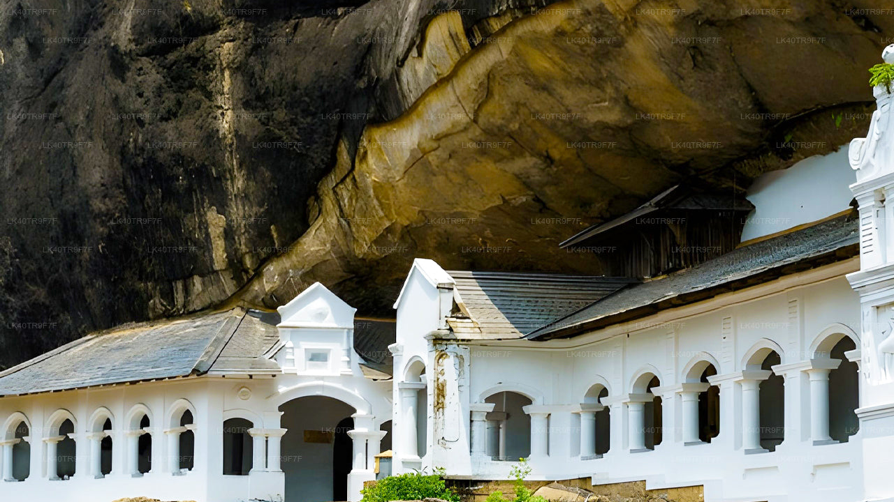 කොළඹ සිට සීගිරිය දක්වා පෞද්ගලික මාරුව සමග දර්ශන නැරඹීමේ නැවතුම් පහසුකම් සහිතව