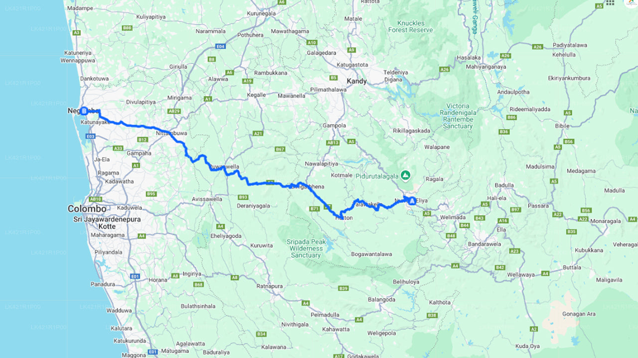 Privater Transfer von Nuwara Eliya City nach Negombo City