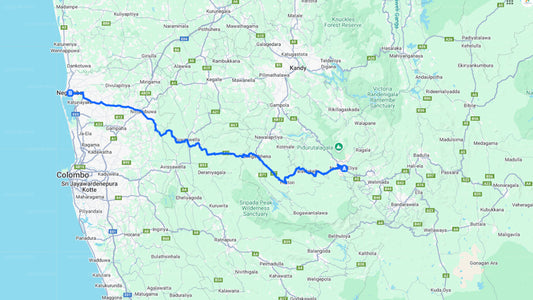 Privater Transfer von Nuwara Eliya City nach Negombo City