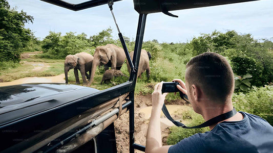Udawalawe Safari ile Ella'dan Hiriketiya'ya Özel Tur
