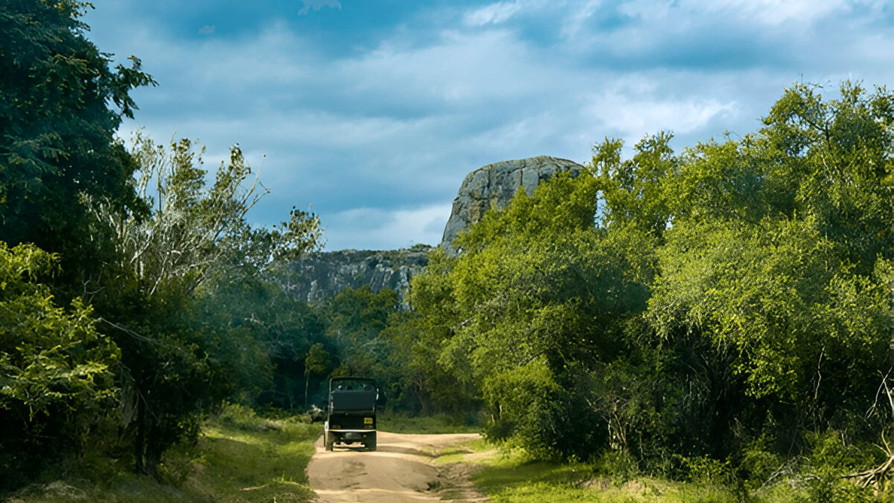 Yala Block 5 northern section elephants less crowded safari Sri Lanka