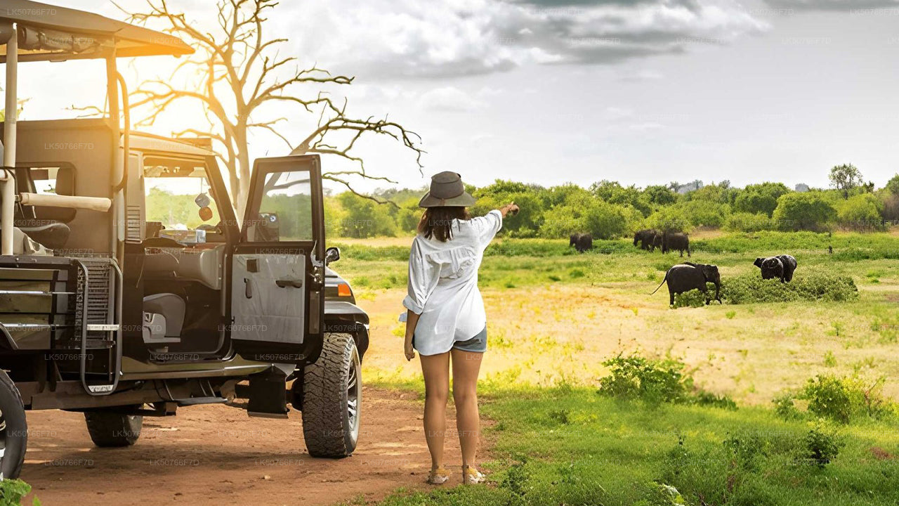 Safari privado com guia naturalista no Parque Nacional de Udawalawe.
