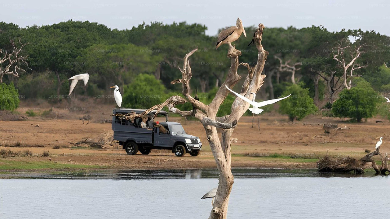 Prywatne safari w Parku Narodowym Bundala