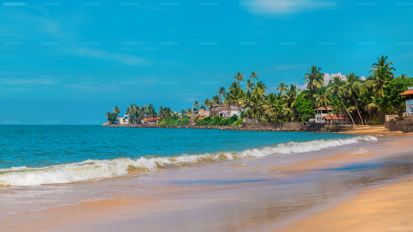 Arugam Bay to Colombo Private Transfer with Galle Fort Stop