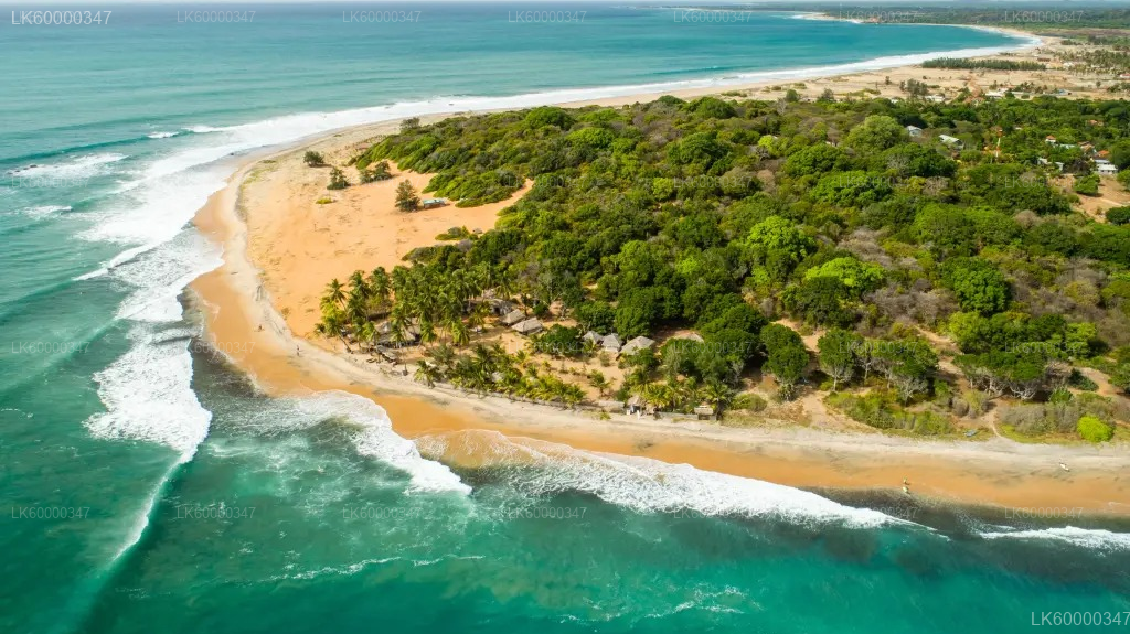 Arugam Bay to Colombo Private Transfer with Galle Fort Stop
