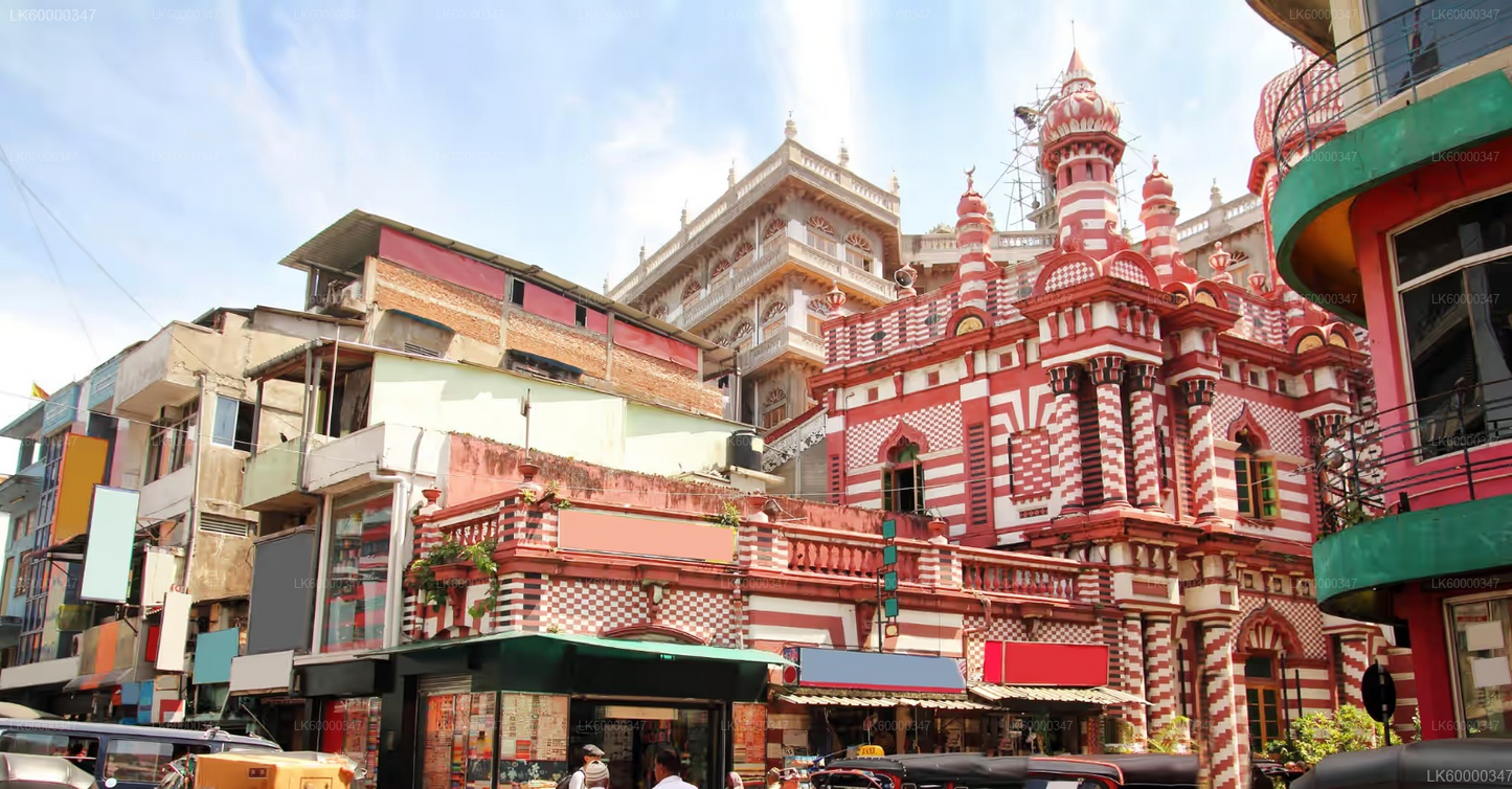 Arugam Bay to Colombo Private Transfer with Galle Fort Stop