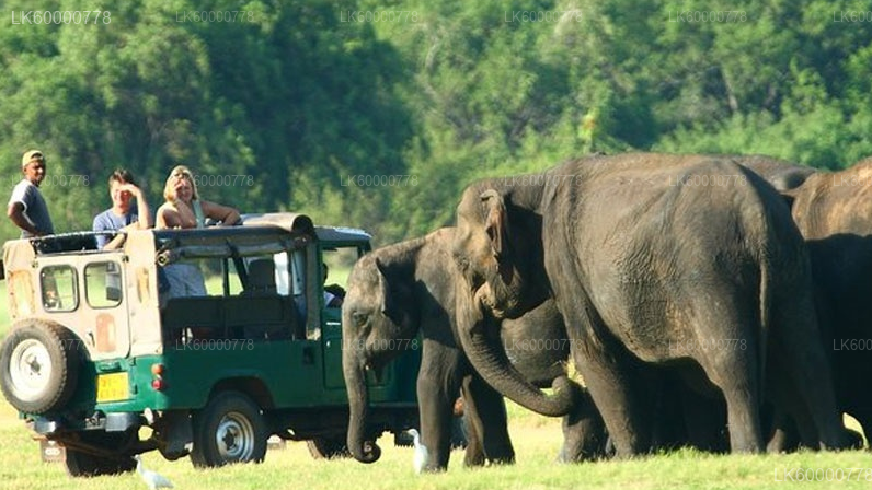Private Tour from Trincomalee to Negombo with Sightseeing Stops