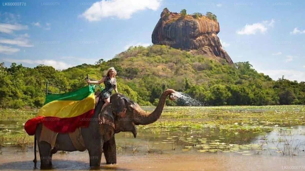 Private Tour from Trincomalee to Negombo with Sightseeing Stops