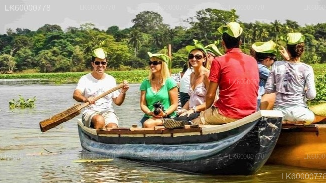 Sigiriya Rock, Village Experience and Wildlife Safari from Trincomalee