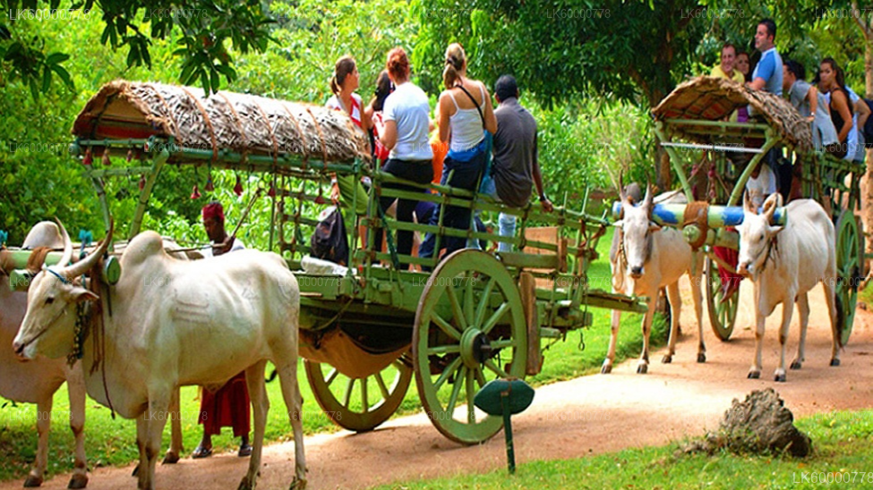Private Tour from Trincomalee to Negombo with Sightseeing Stops