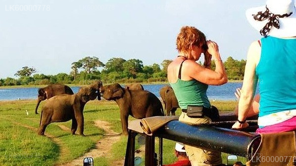 Private Tour from Trincomalee to Negombo with Sightseeing Stops