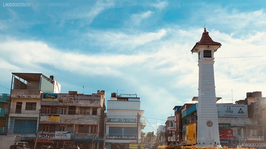 Batticaloa City Tour from Pasikuda