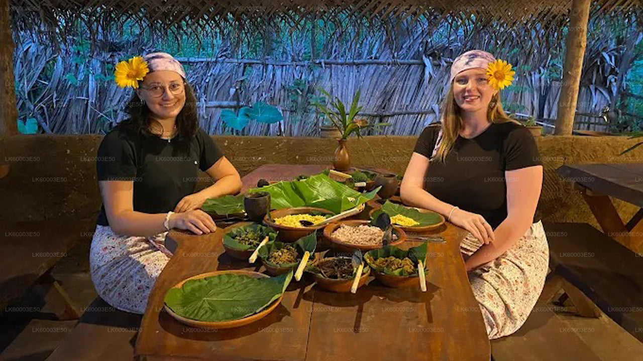 Sri Lankas landbrug, ædelmine og landsbyoplevelse af Ceylon 1850