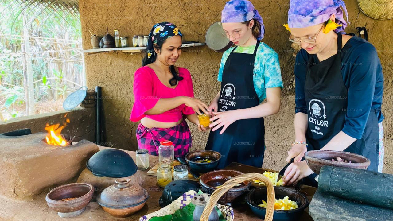 Sri Lankas landbrug, ædelmine og landsbyoplevelse af Ceylon 1850