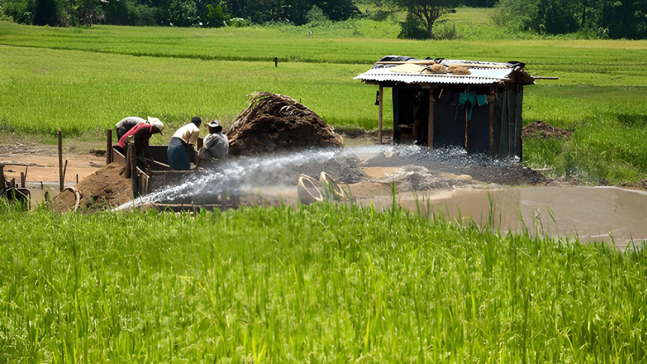 Sri Lankas landbrug, ædelmine og landsbyoplevelse af Ceylon 1850