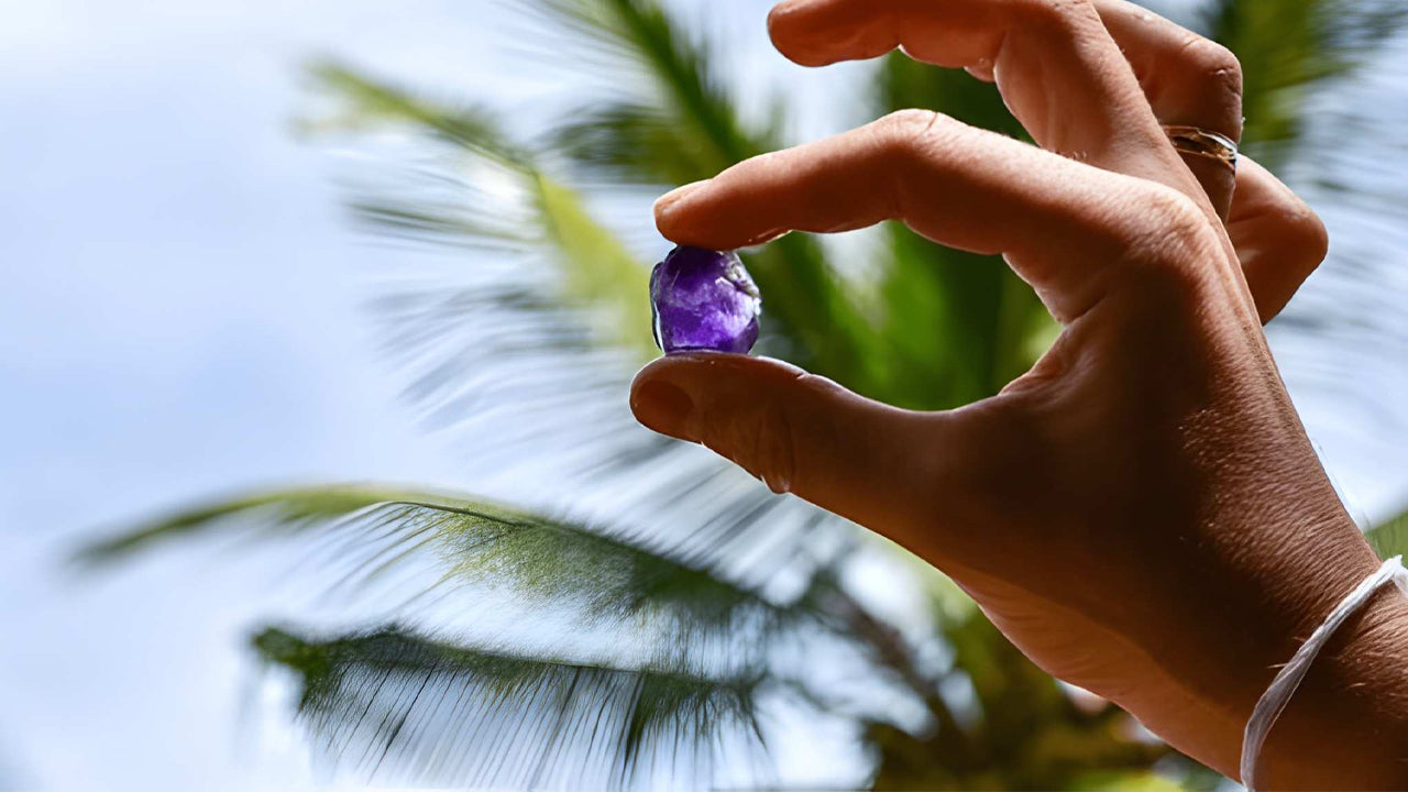 Sri Lankas landbrug, ædelmine og landsbyoplevelse af Ceylon 1850