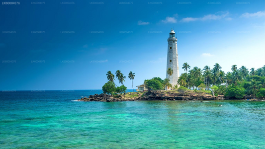 Negombo to Anuradhapura Private Transfer with Wilpattu Safari
