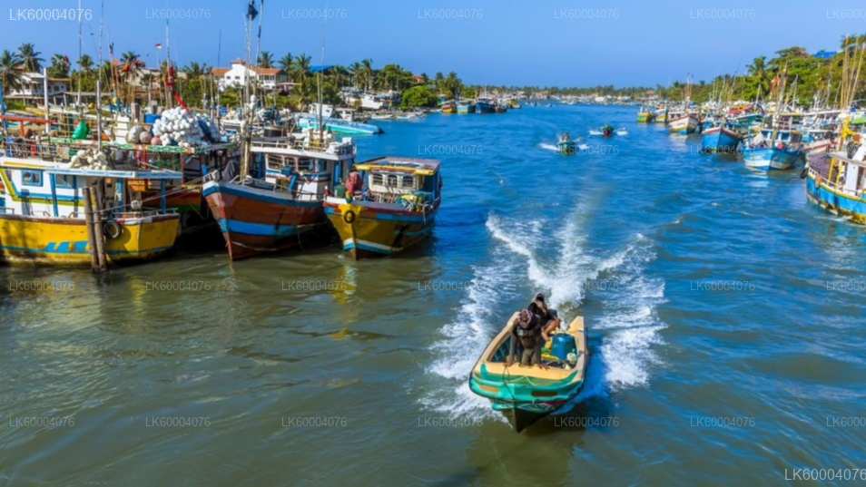 Anuradhapura to Negombo Private Transfer with Wilpattu Safari