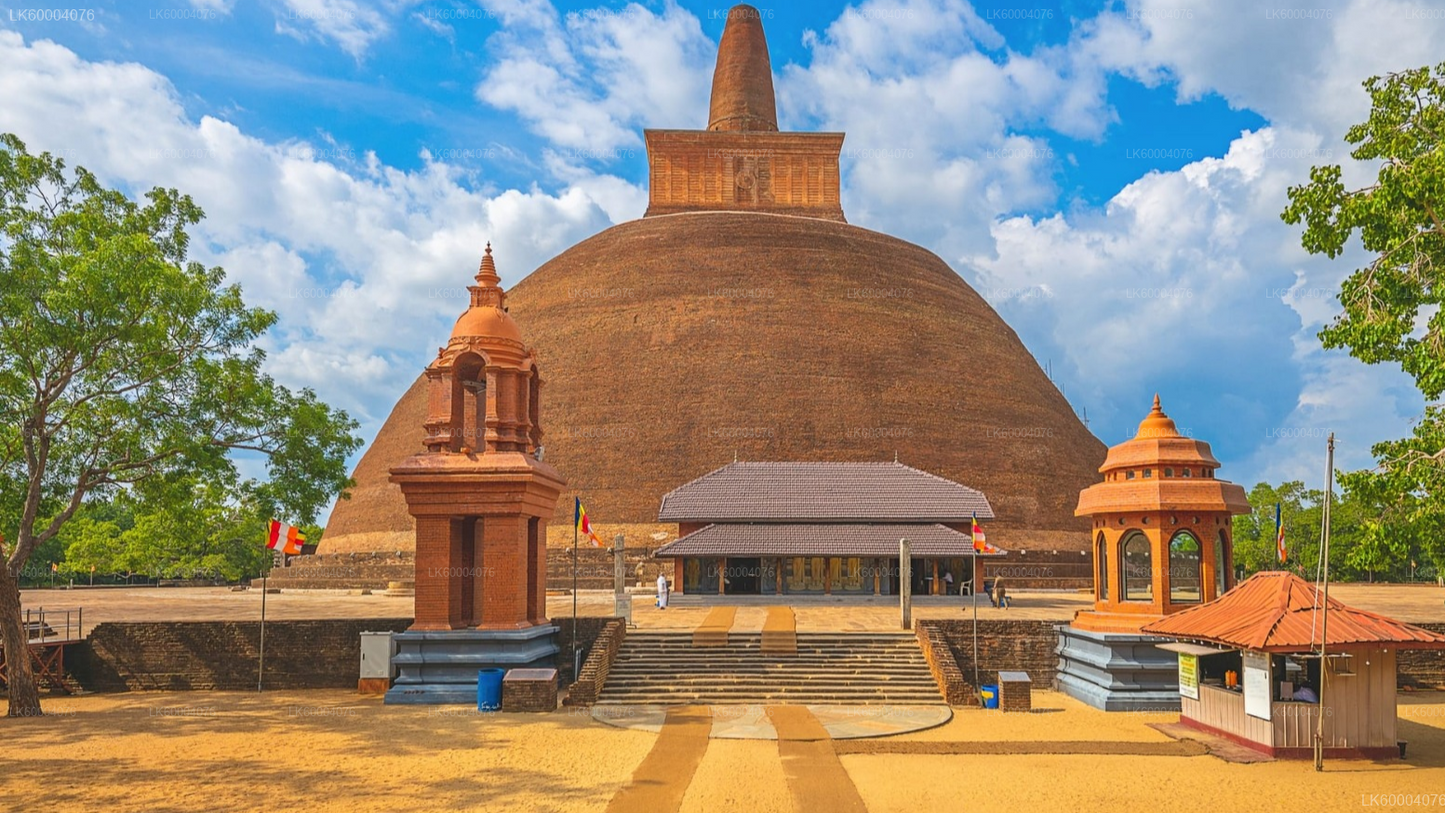 Negombo to Anuradhapura Private Transfer with Wilpattu Safari
