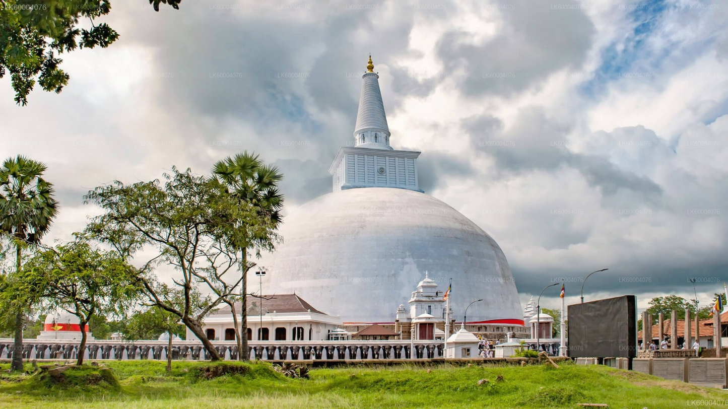 Negombo to Anuradhapura Private Transfer with Wilpattu Safari