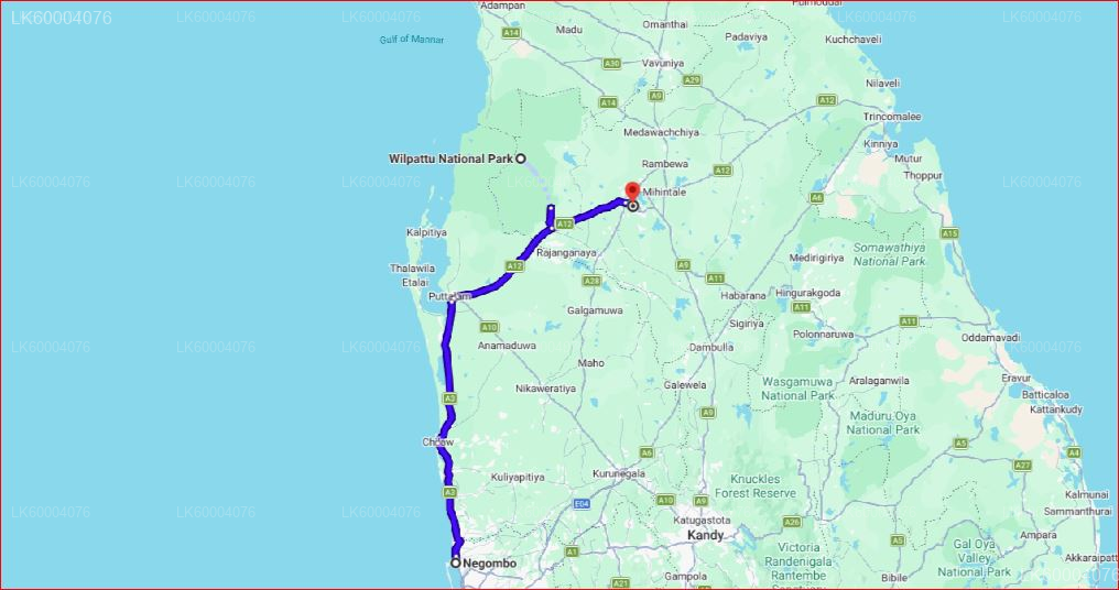 Negombo to Anuradhapura Private Transfer with Wilpattu Safari