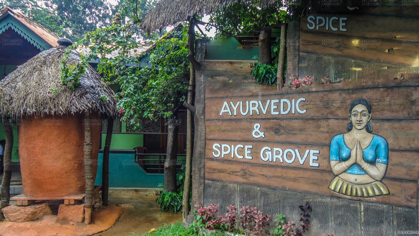 Kandy to Sigiriya Private Transfer with Sightseeing Stops