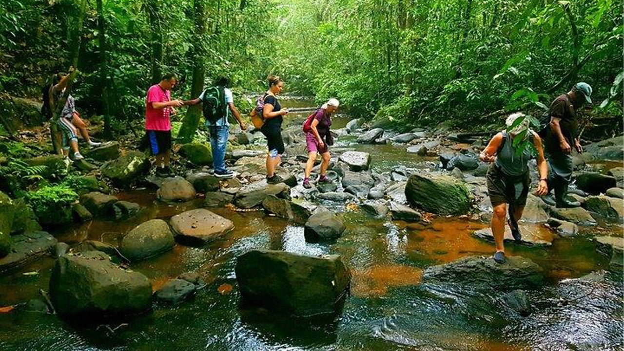 Tagesausflug in den Sinharaja-Regenwald ab Ahangama