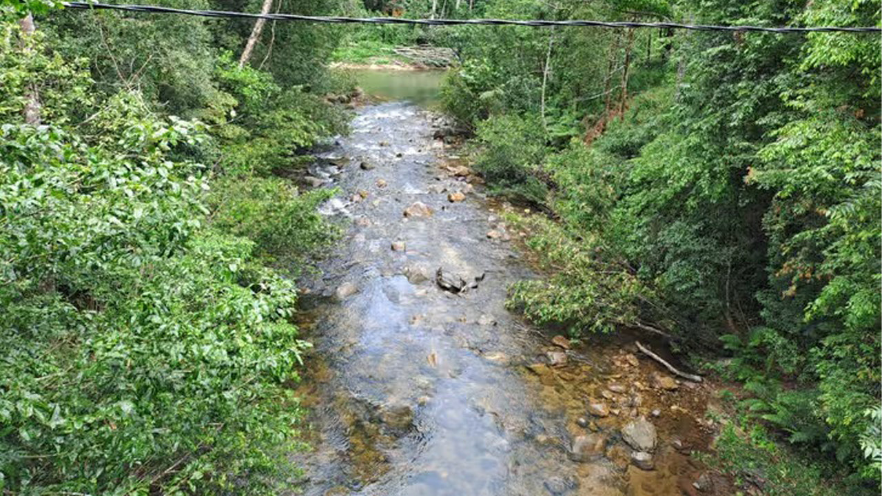 Tagesausflug in den Sinharaja-Regenwald ab Ahangama