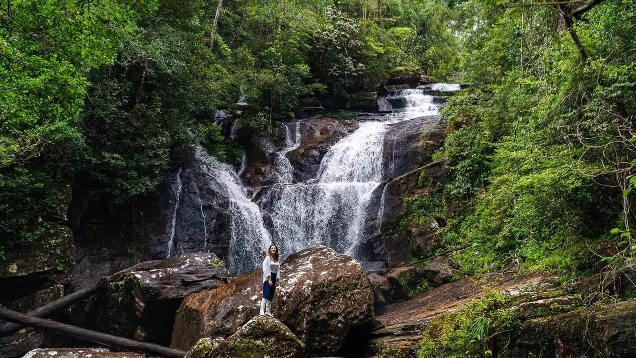 Tagesausflug in den Sinharaja-Regenwald ab Ahangama