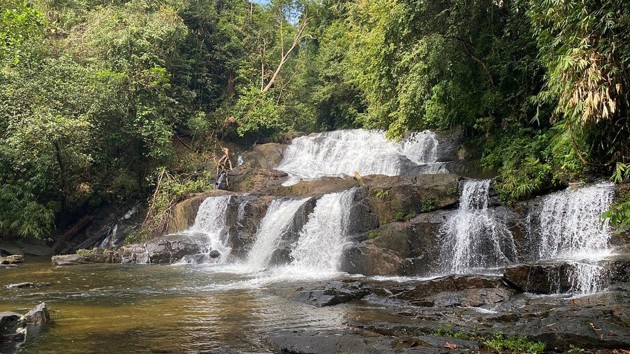 Tagesausflug in den Sinharaja-Regenwald ab Ahangama