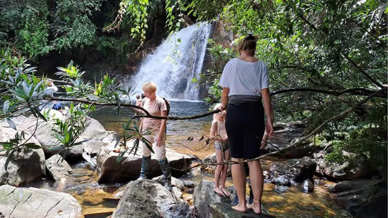 Tagesausflug in den Sinharaja-Regenwald ab Ahangama