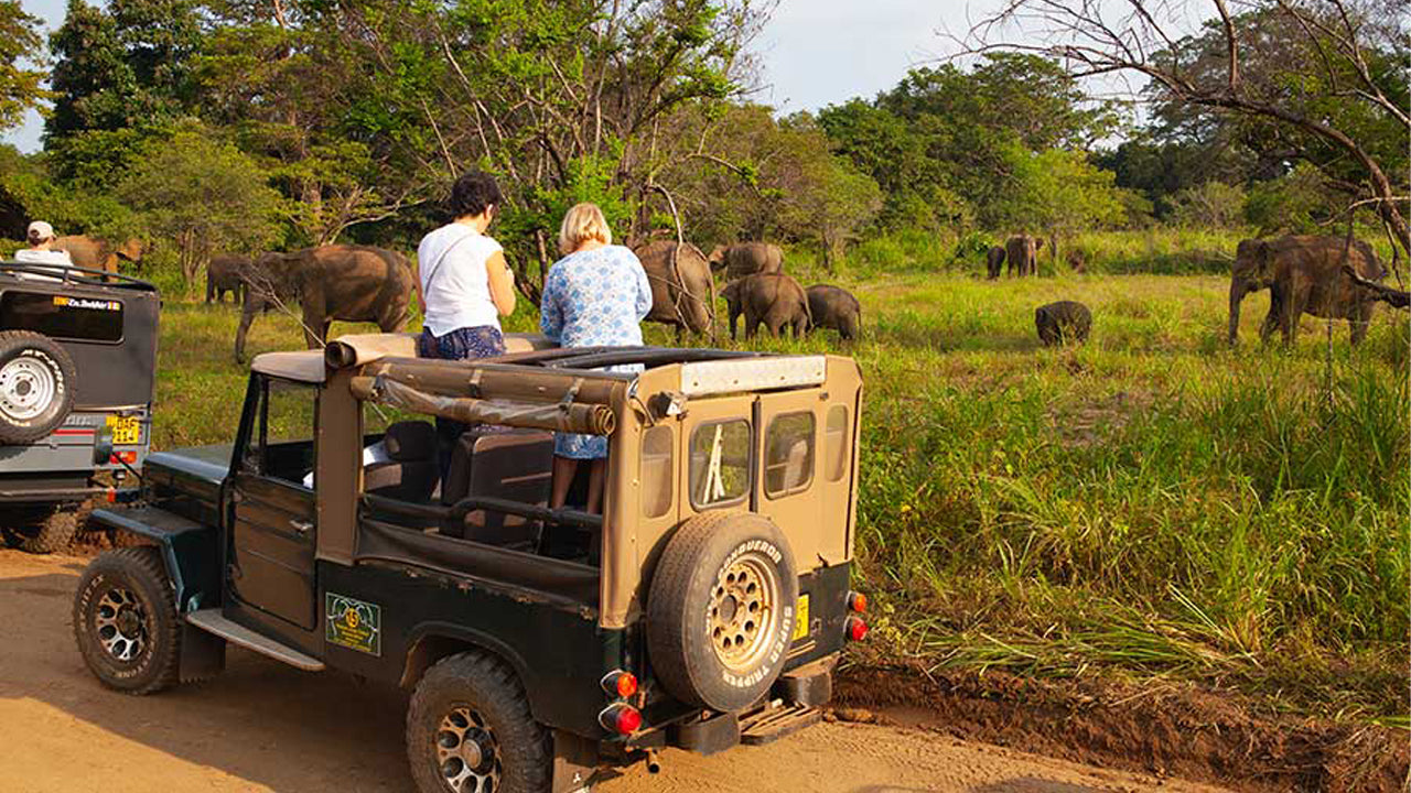 Polonnaruwa Heritage e Hurulu Eco Park Safari de Pasikuda