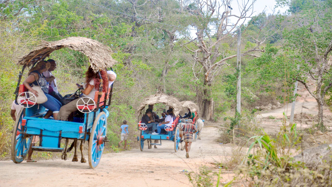 Sigiriya Rock and Wild Elephant Safari from Dambulla