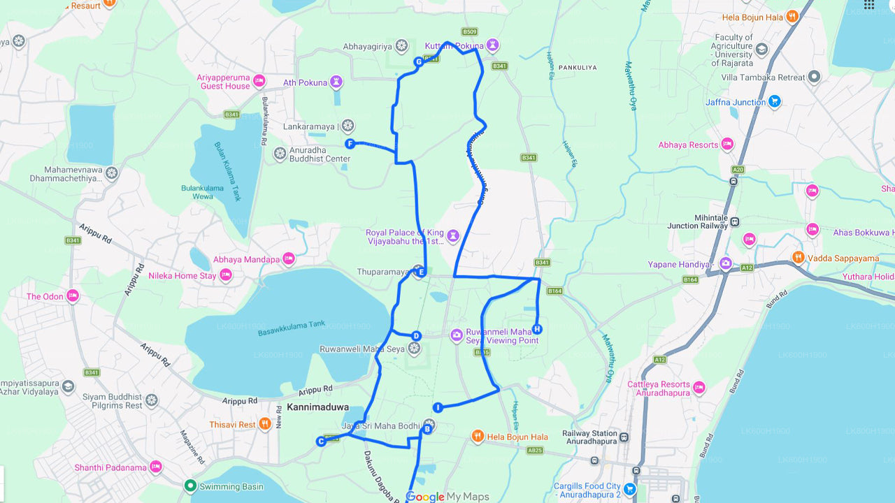 Ville sacrée d'Anuradhapura depuis Colombo