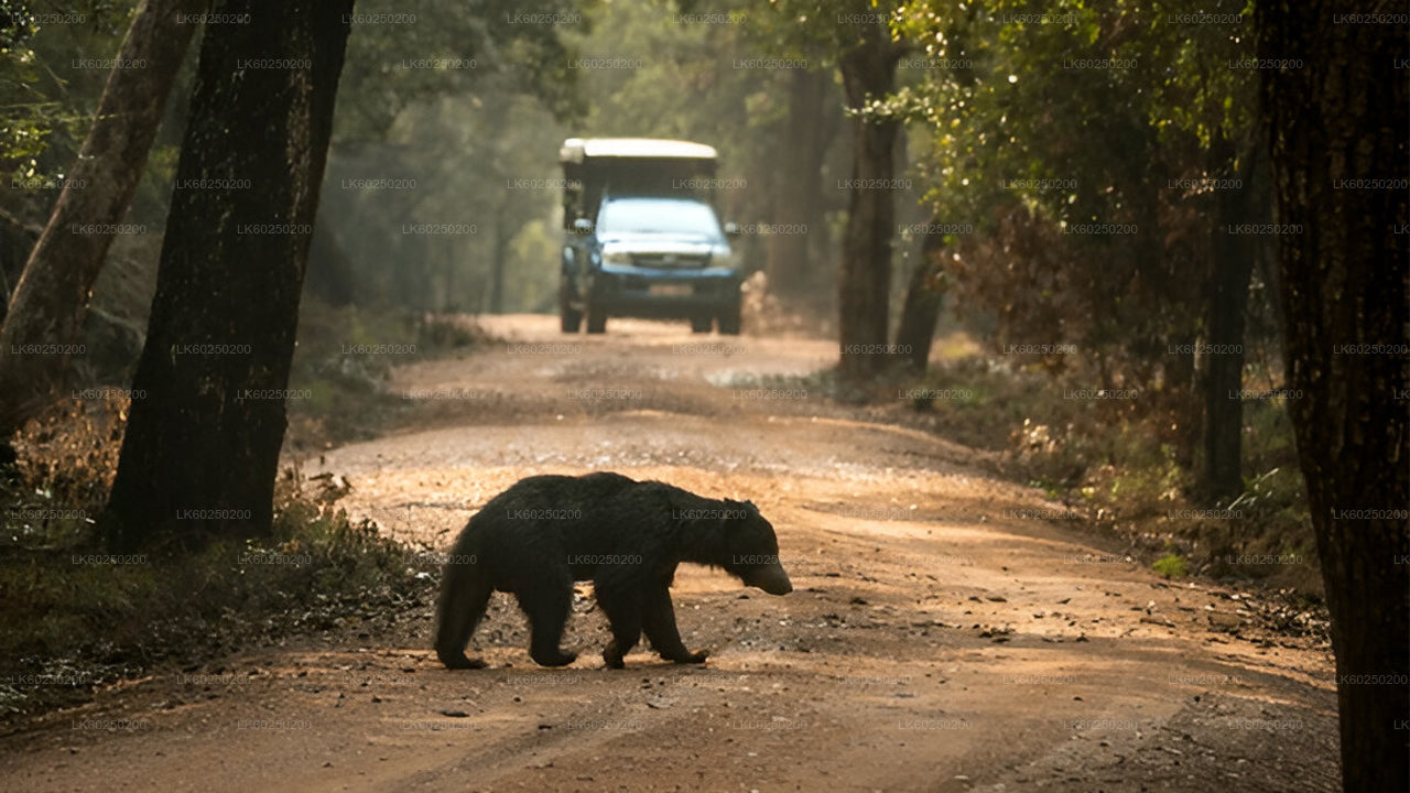 ウナワトゥナ発ヤーラ国立公園サファリ