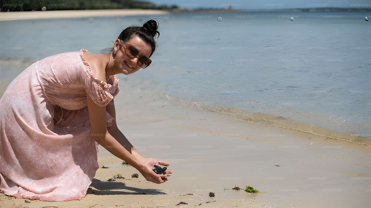 Baby Turtle Release from Mirissa