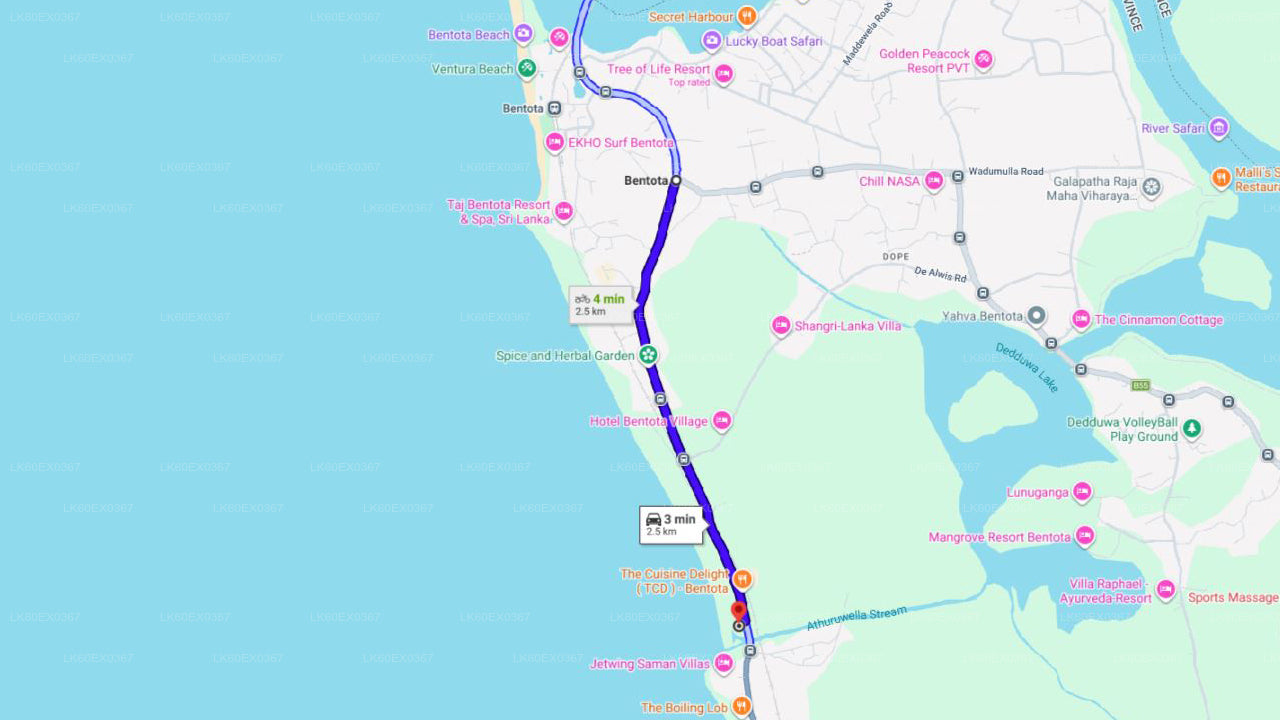 Udgivelse af babyskildpadde fra Bentota