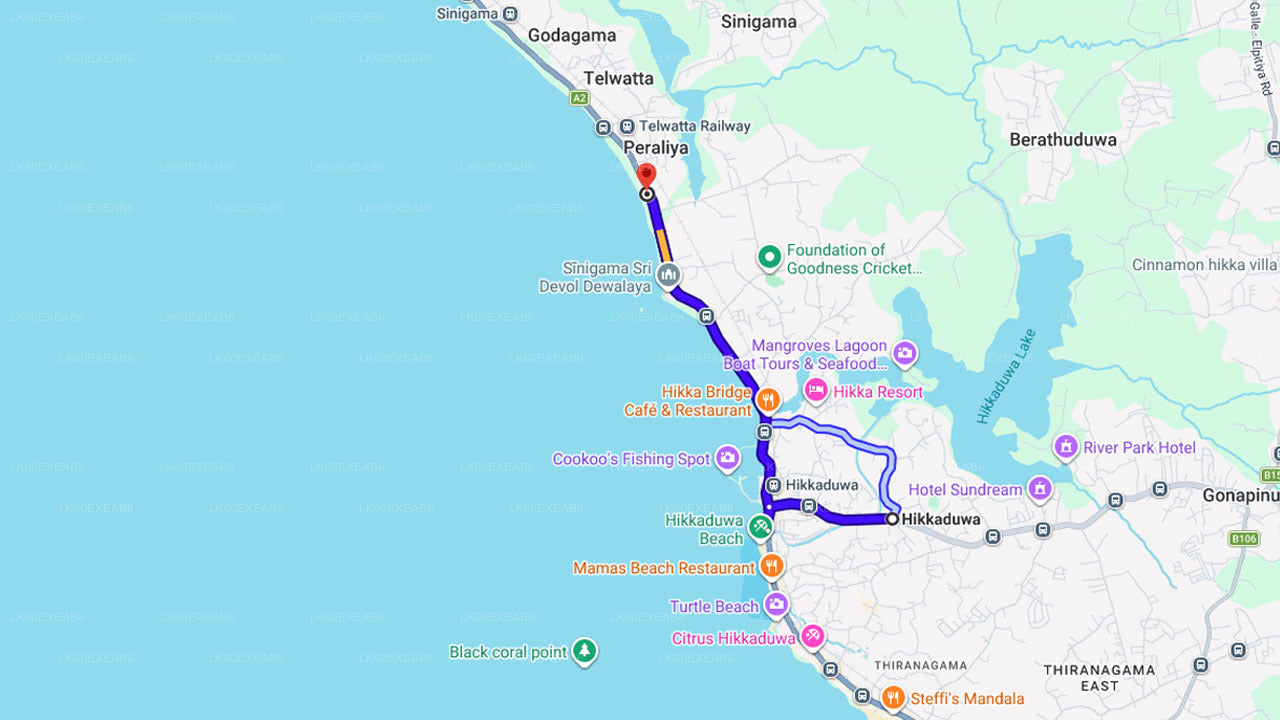 Relâcher de bébés tortues à Hikkaduwa
