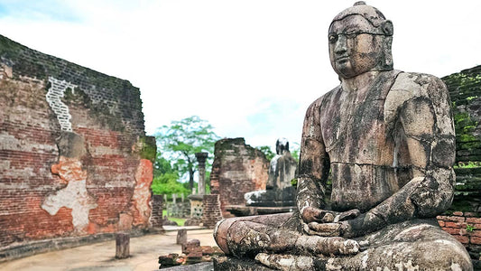 Sigiriya to Pasikudah Private Transfer with Polonnaruwa Ancient City Tour