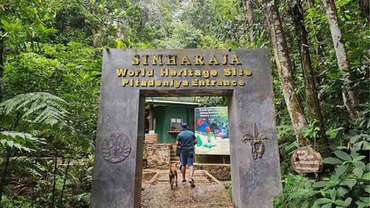 Person walking with a dog near a 'Sinharaja World Heritage Site' entrance sign in a lush green forest.