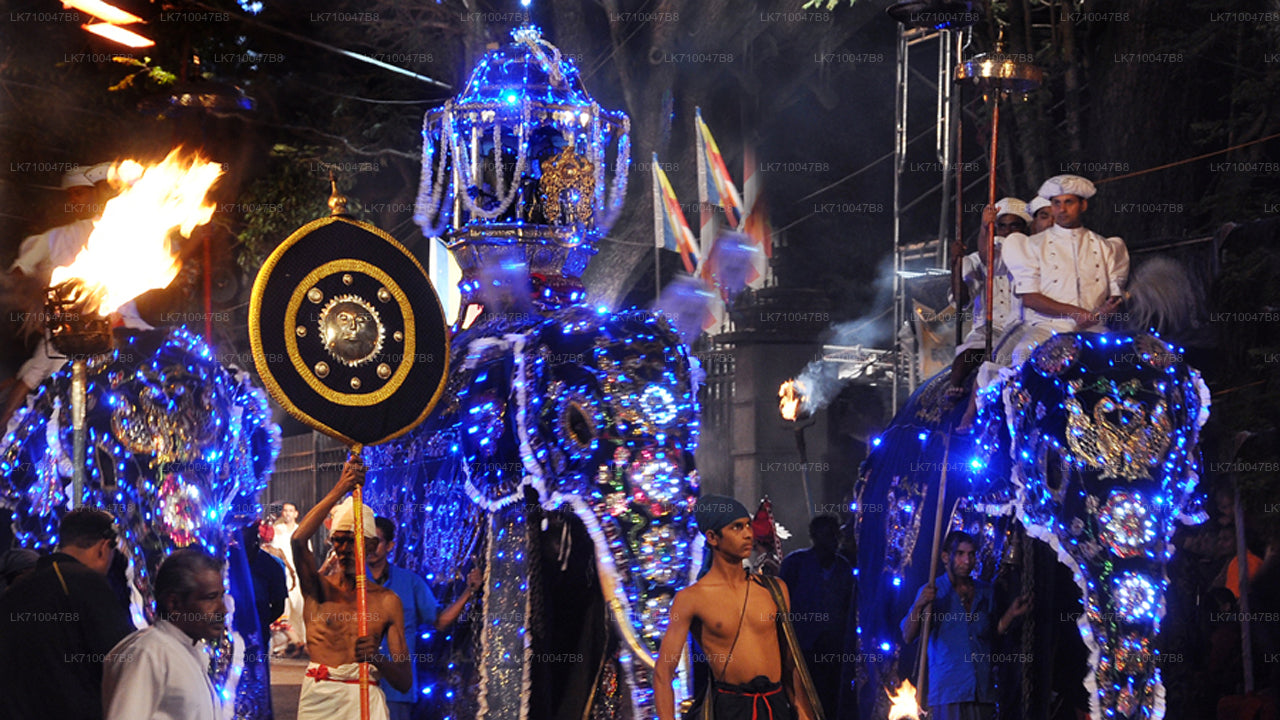 Gangaramaya Nawam Maha Perahera