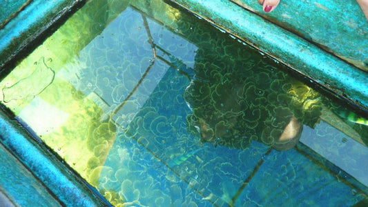 Glass Bottom Boat Ride from Trincomalee