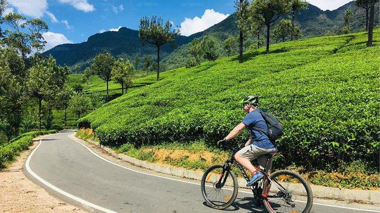 Scopri Ella in bicicletta da Ella