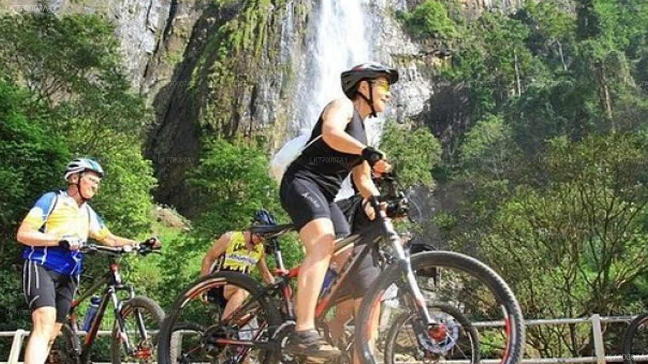 Scopri Ella in bicicletta da Ella