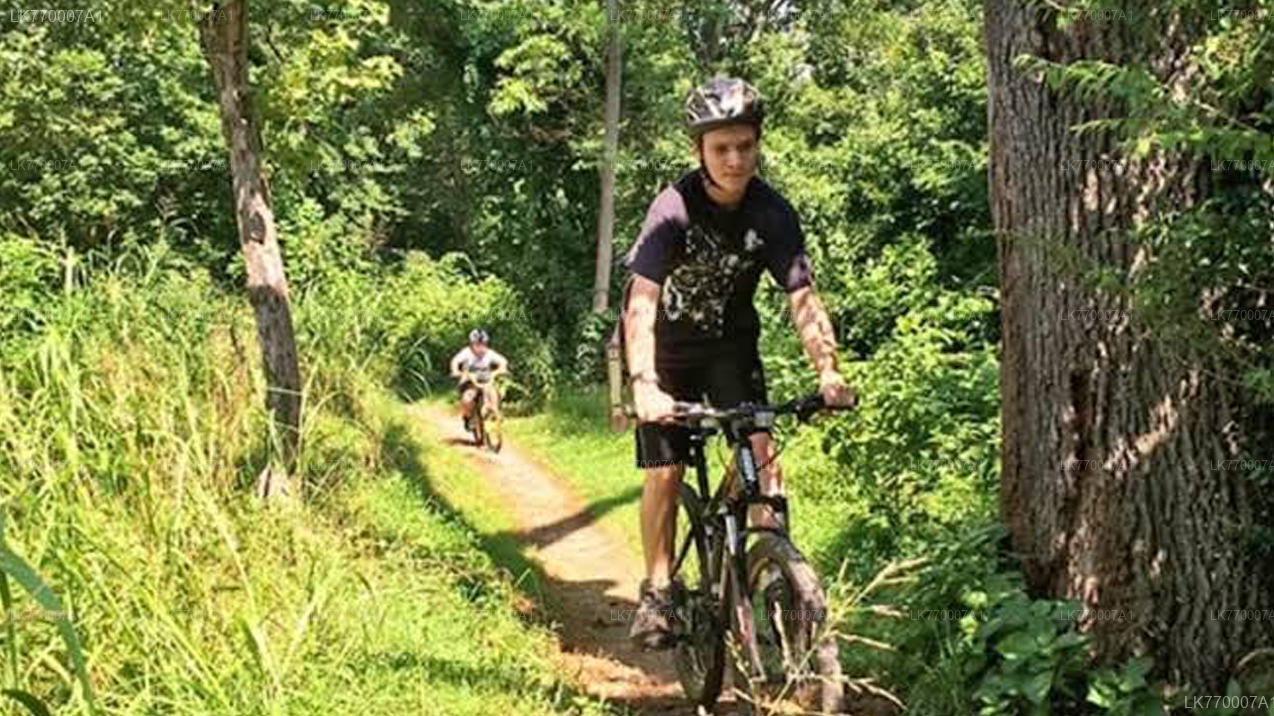 Scopri Ella in bicicletta da Ella